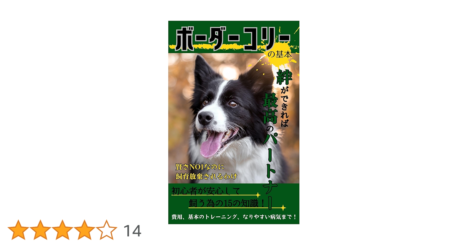 ボーダーコリーの基本絆ができれば最高のパートナー 賢さNO．1